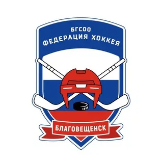 хоккей.28